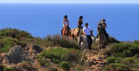/album/foto-chia-cala-cipola-capo-spartivento/a0004-capo-spartivento-jpg1/
